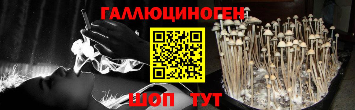 Галлюциногенные грибы MAGIC MUSHROOMS Дивногорск