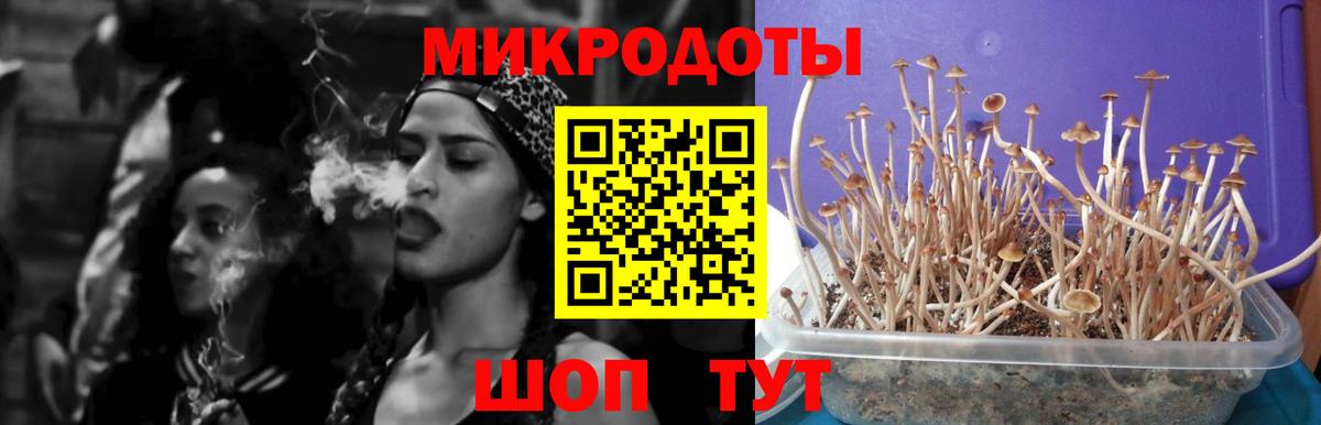 Дивногорск  Псилоцибиновые грибы Psilocybine cubensis  Галлюциногенные грибы GOLDEN TEACHER  Вход с VPN 