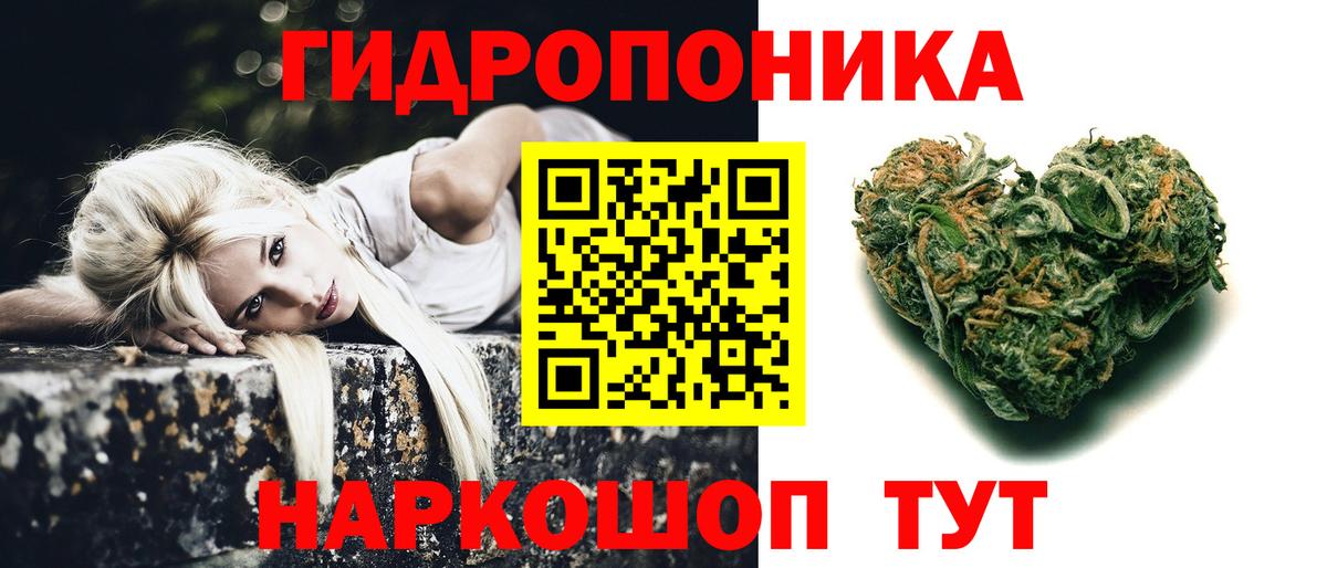 Конопля семена  Вход с VPN  Дивногорск  Каннабис план  Конопля ГИДРОПОН  Канабис White Widow 